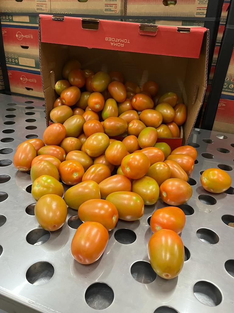 Roma tomatoes