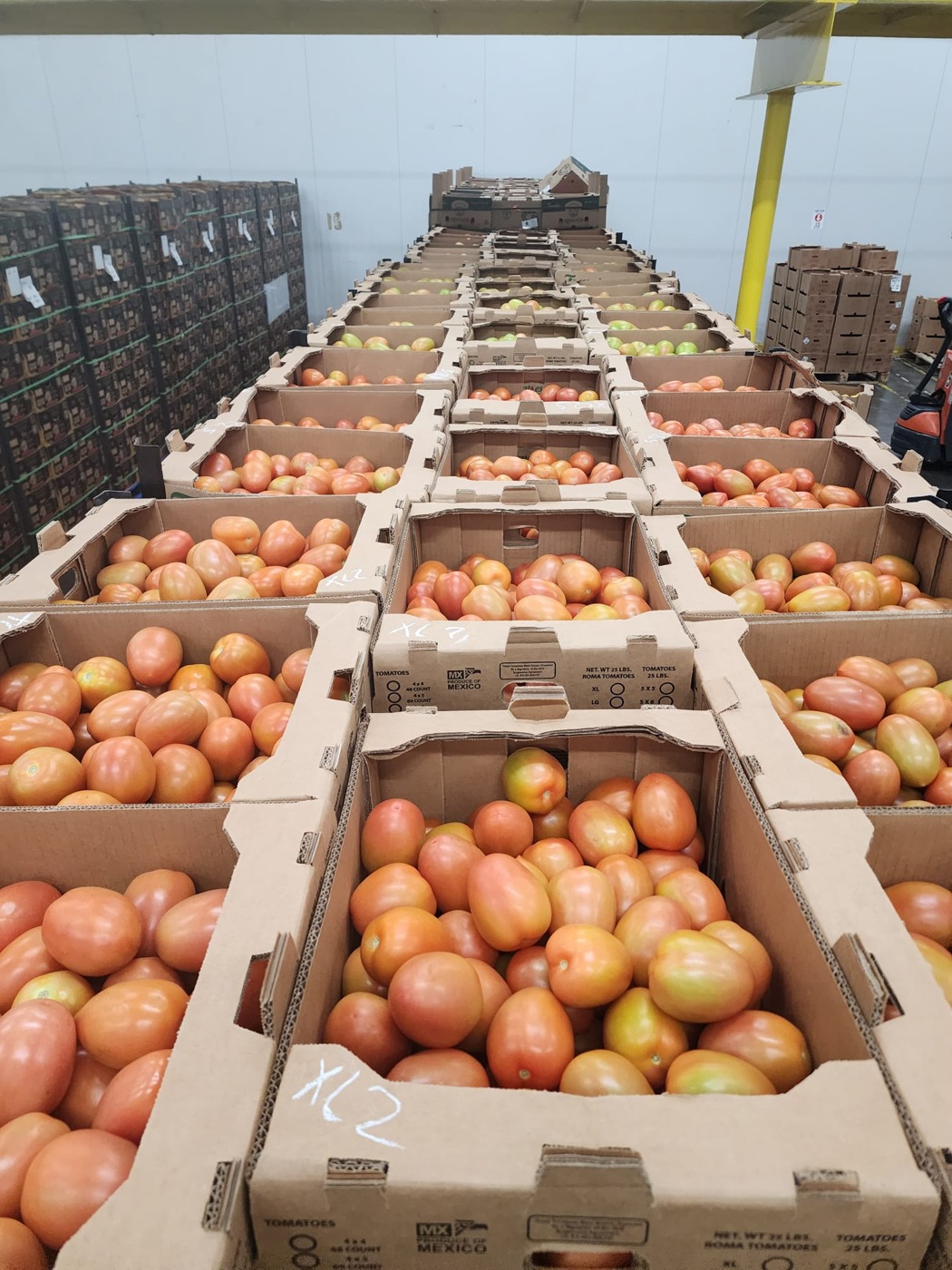 Roma tomatoes in boxes